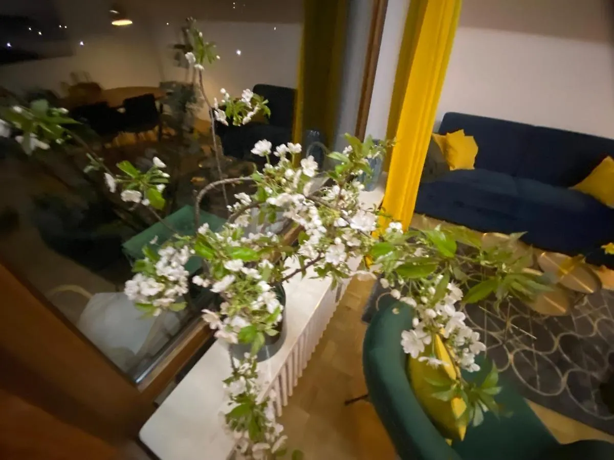Ferienwohnung Panoramablick - Alpenmagie Suites Oberaudorf Germany